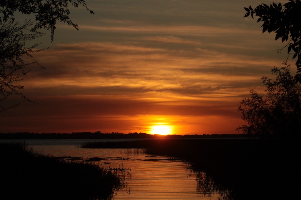 Atardecer dorado sobre la ribera de la Isla Martín García